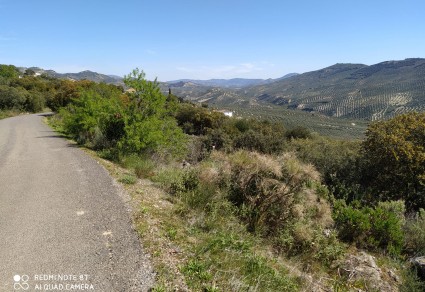 Terreno en venta en Iznajar, Zona Los Juncares