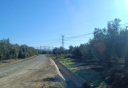 Finca Rústica en venta en Lucena, Zona Los Morteros