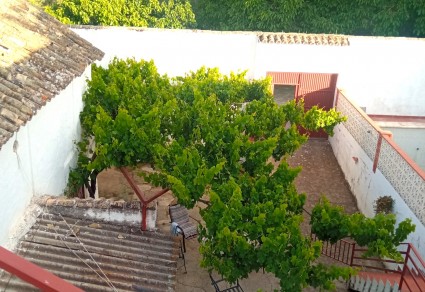 Chalet en venta en Córdoba, Zona Nueva Carteya