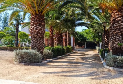 Chalet en venta en Lucena, Zona Campo de Aras
