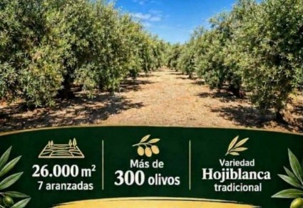 Finca de olivos en venta en Lucena, Zona Zona Lanjarón